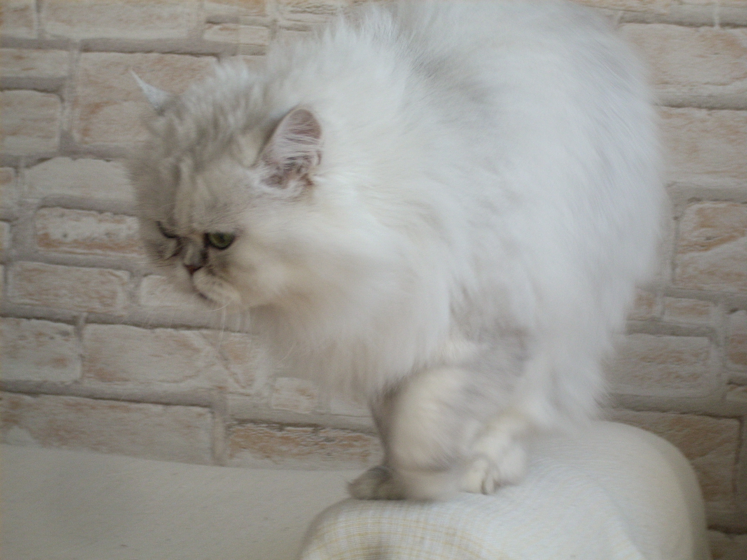 DSCN0588.JPG